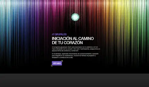 Captura de imagen de una sección del sitio Casa Vyasa