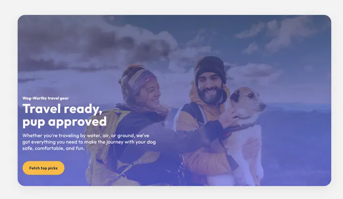 Captura de imagen de una sección del sitio The Wag Life Co