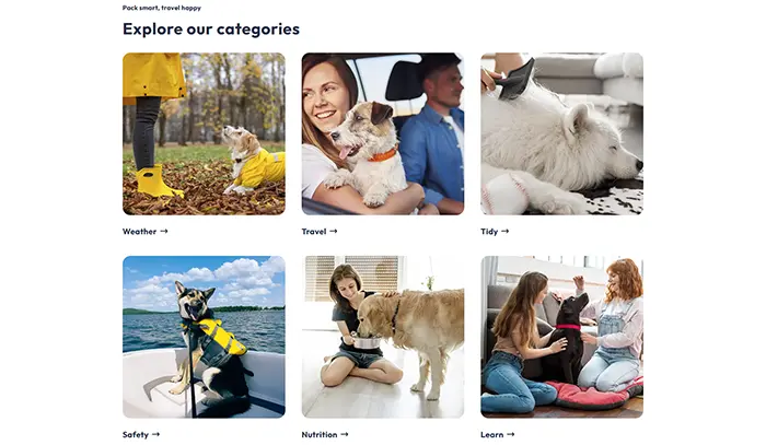 wag-featured-11